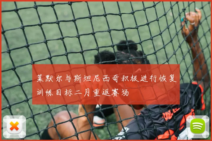 莱默尔与斯坦尼西奇积极进行恢复训练目标二月重返赛场