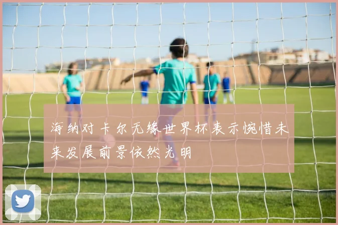 海纳对卡尔无缘世界杯表示惋惜未来发展前景依然光明